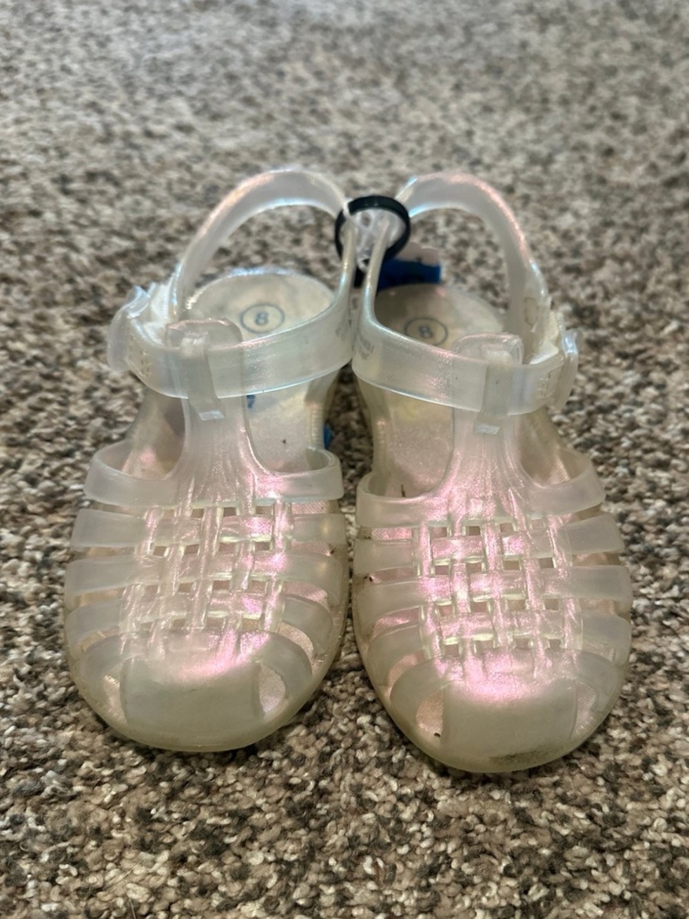 Cat & Jack Jellies 8K